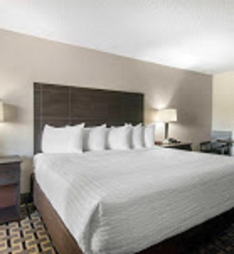 Clarion Inn & Suites Kissimmee-Lake Buena Vista South מראה חיצוני תמונה